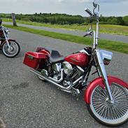 Harley Davidson FLSTF Fatboy Custom