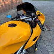 Suzuki TL1000S