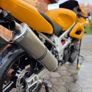 Suzuki TL1000S