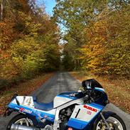 Suzuki GSX-R 1100