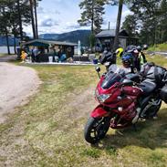 Suzuki Gsf 1250 S Bandit 