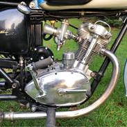 Triumph Tiger Cub