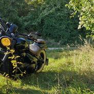 Suzuki Intruder m800