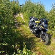 Suzuki DL 650 XT V-Strom 