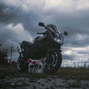 Suzuki RF900R