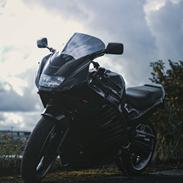 Suzuki RF900R