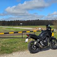 Honda NX500