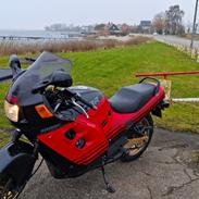 Honda CBR 1000f hurricane 