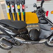 PGO T rex 110