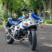 Suzuki SV650S/R