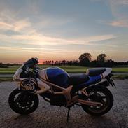 Suzuki SV650S/R