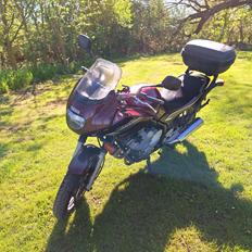 Yamaha XJ600 Diversion