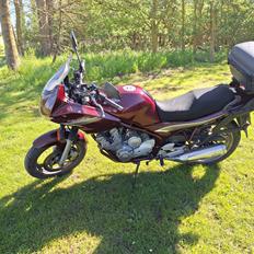 Yamaha XJ600 Diversion