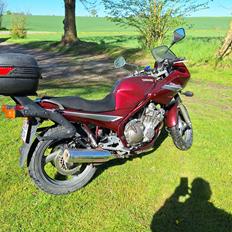 Yamaha XJ600 Diversion