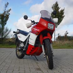 Honda XL600V Transalp