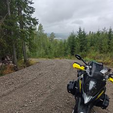 Suzuki DL 650 XT V-Strom 