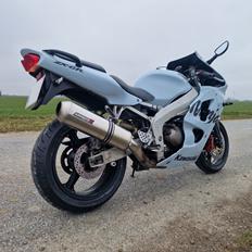 Kawasaki ZX-6R Ninja