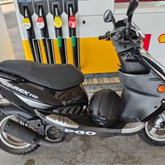 PGO T rex 110
