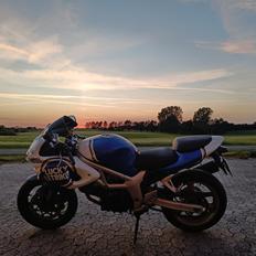 Suzuki SV650S/R