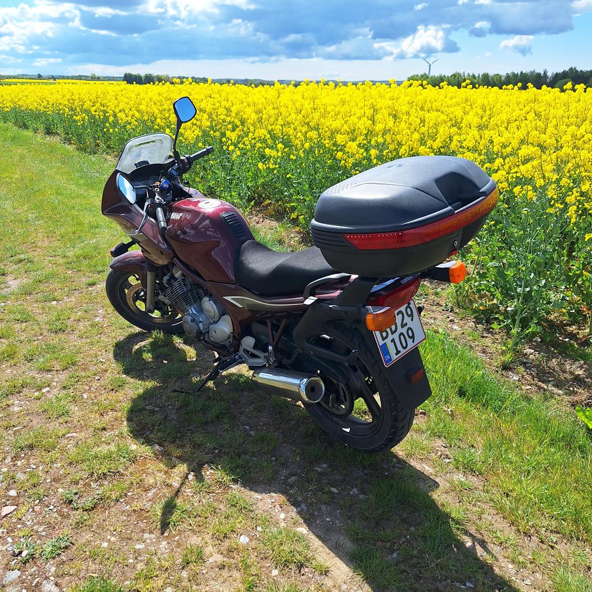 Yamaha XJ600 Diversion billede 5