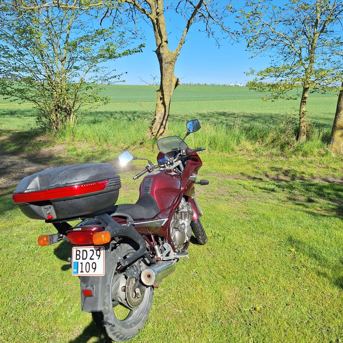 Yamaha XJ600 Diversion billede 8