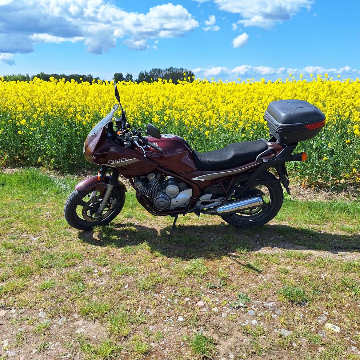 Yamaha XJ600 Diversion billede 10