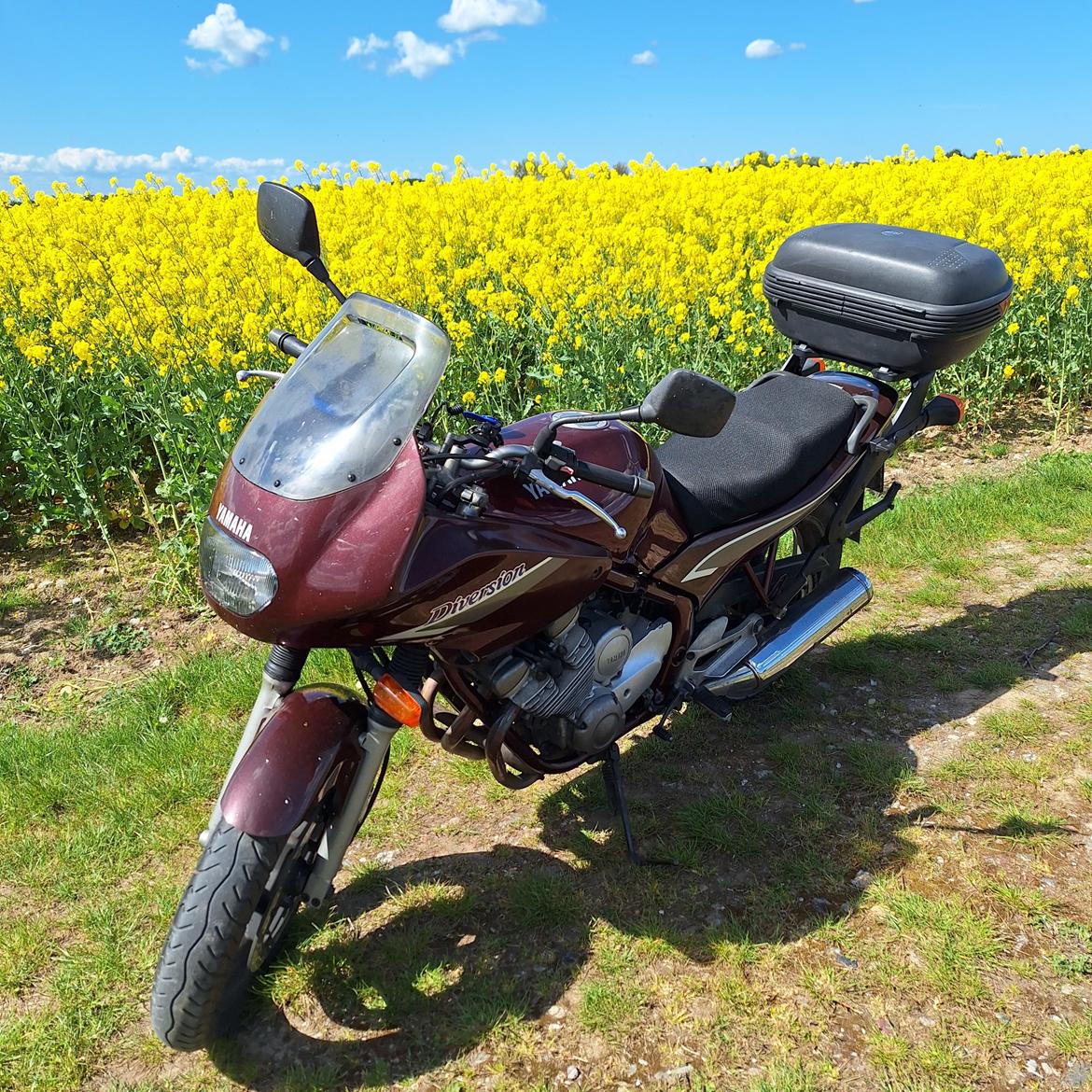 Yamaha XJ600 Diversion billede 11