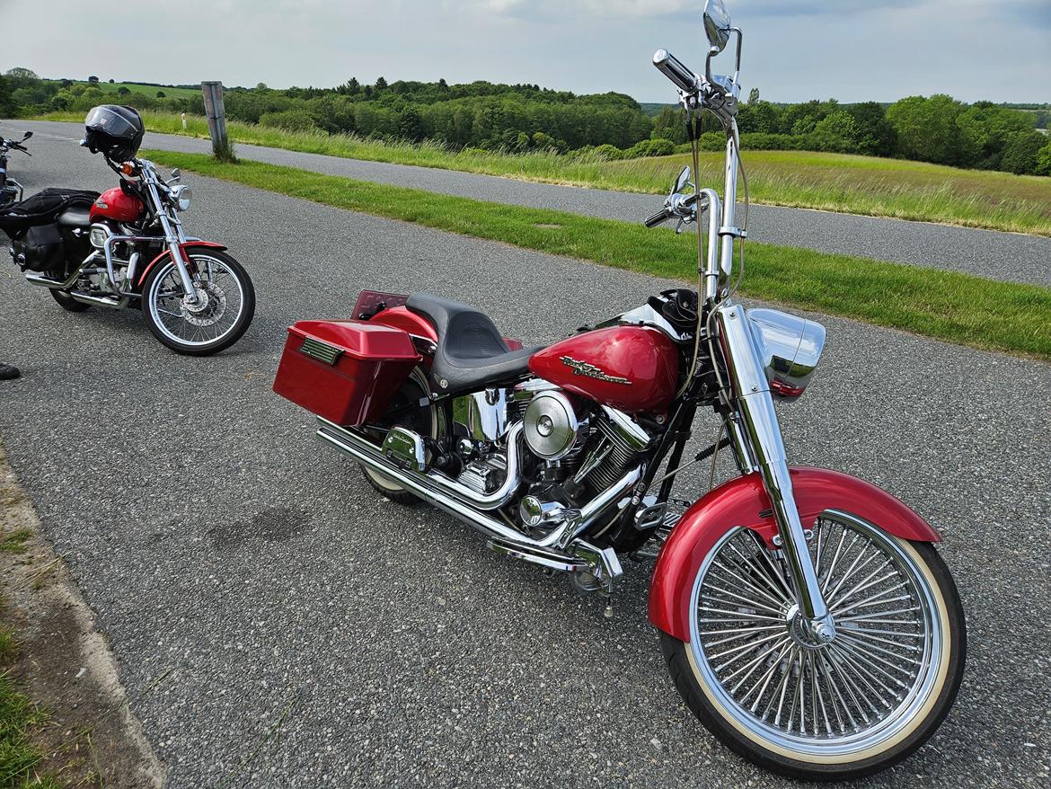 Harley Davidson FLSTF Fatboy Custom billede 2