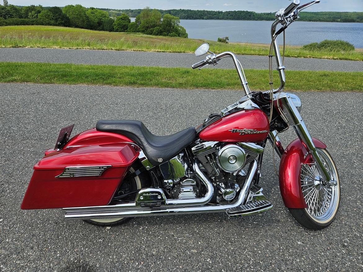 Harley Davidson FLSTF Fatboy Custom billede 3