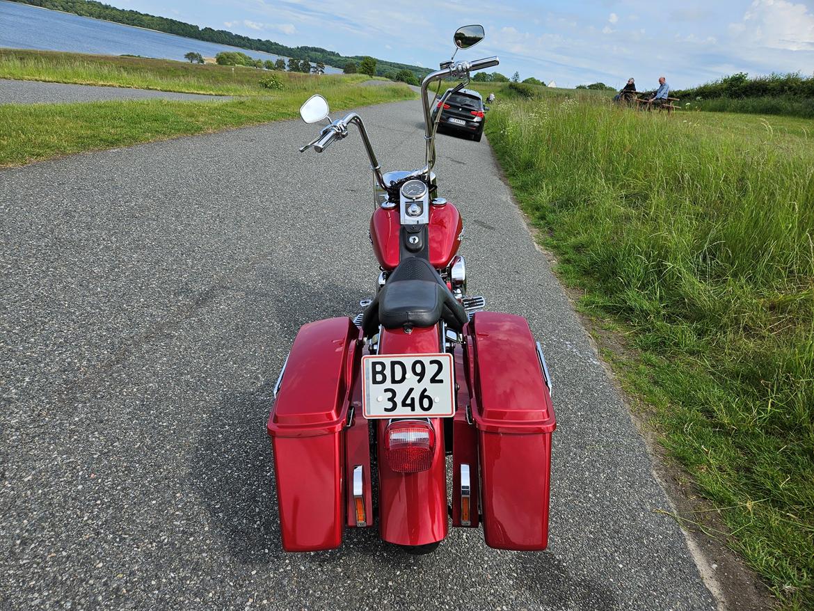 Harley Davidson FLSTF Fatboy Custom billede 5