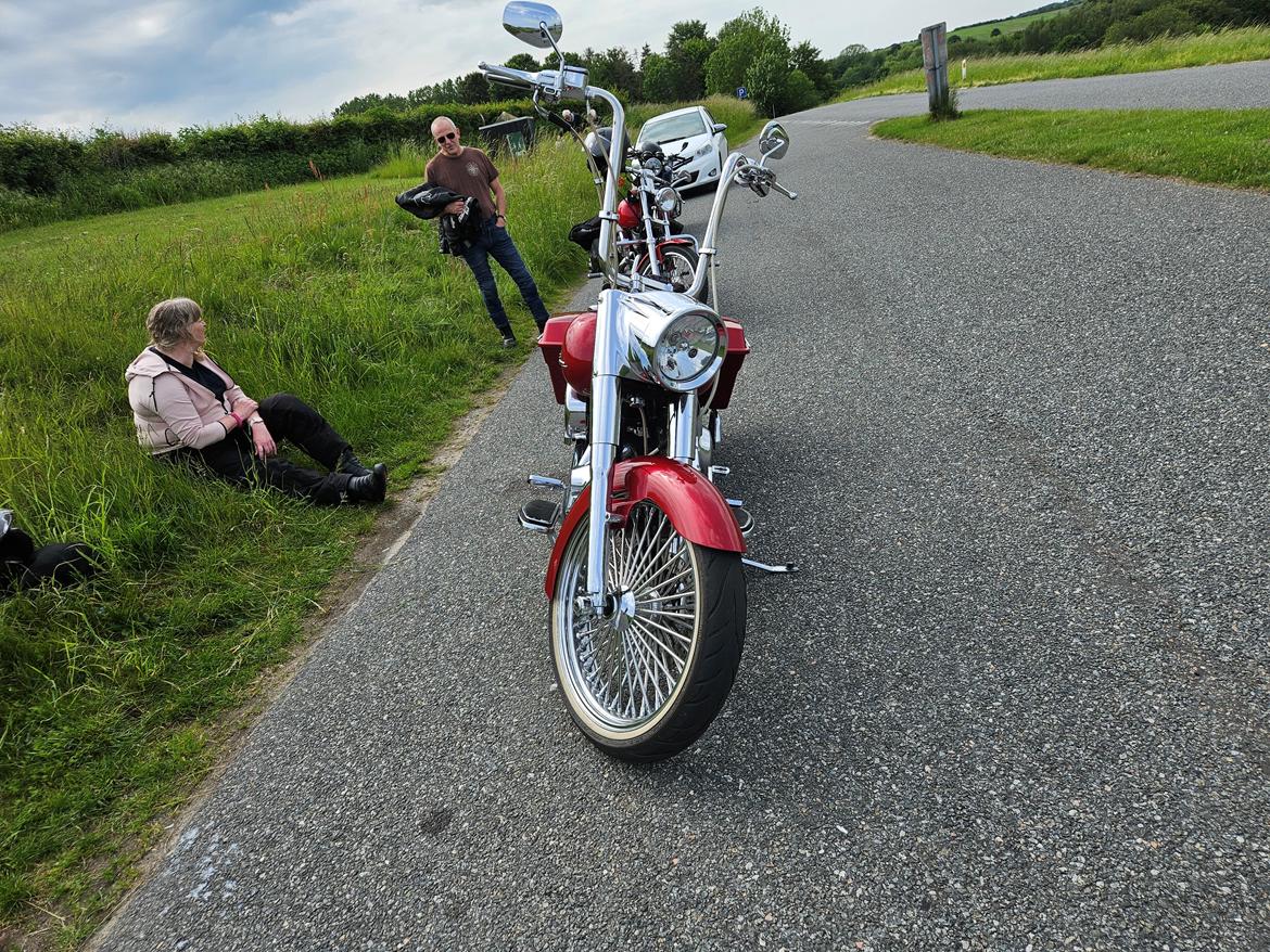 Harley Davidson FLSTF Fatboy Custom billede 9