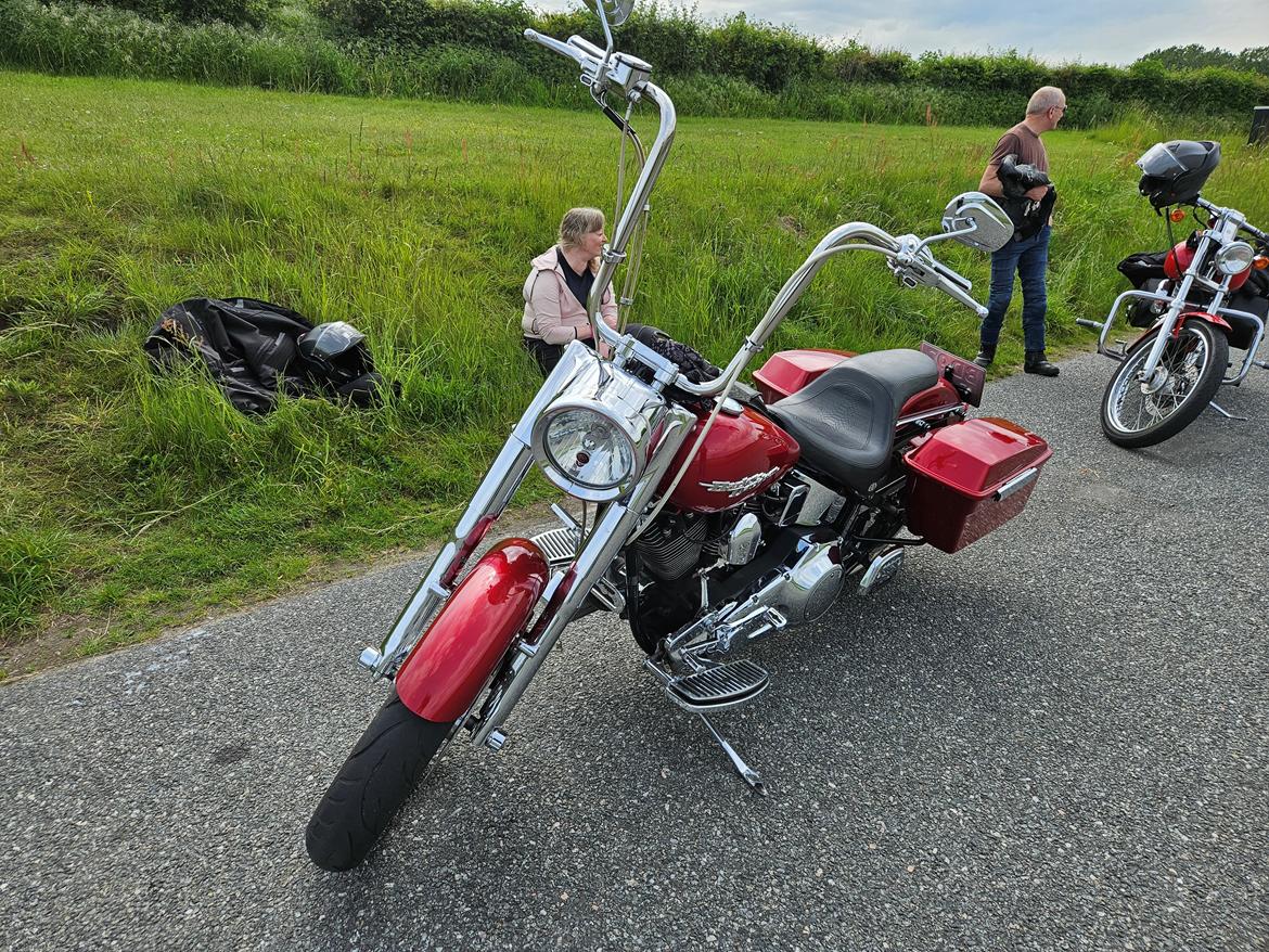 Harley Davidson FLSTF Fatboy Custom billede 8