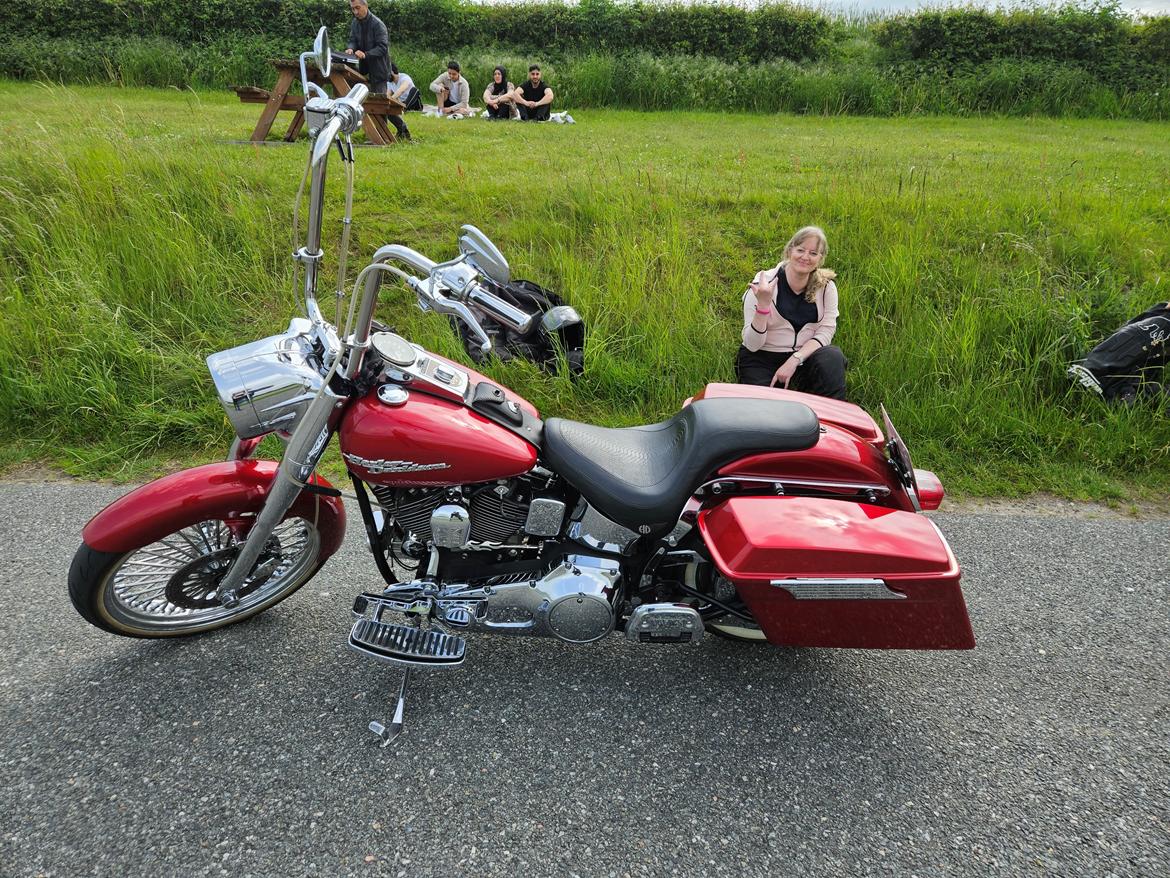 Harley Davidson FLSTF Fatboy Custom billede 7