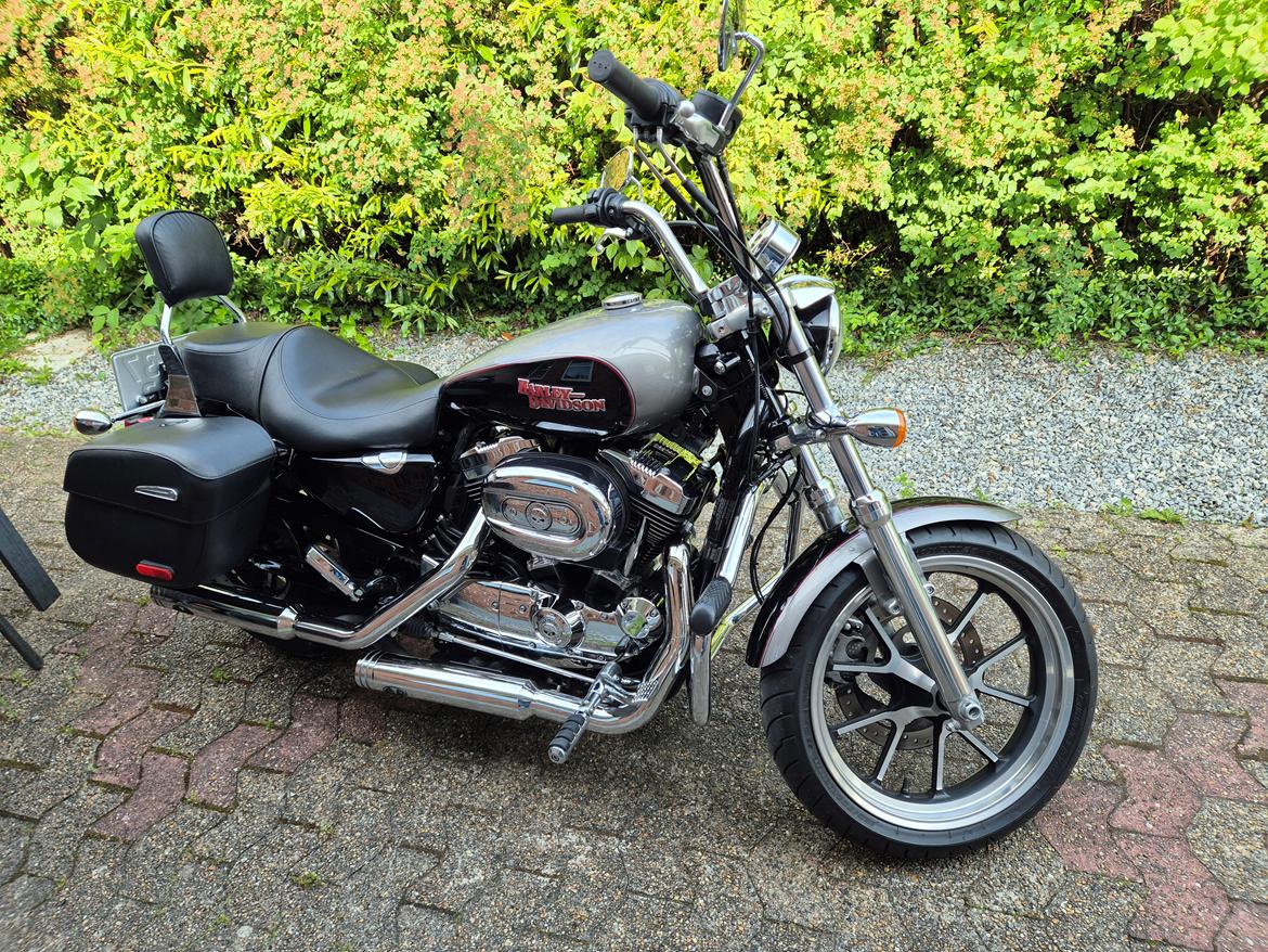 Harley Davidson XL 1200 T Superlow billede 2