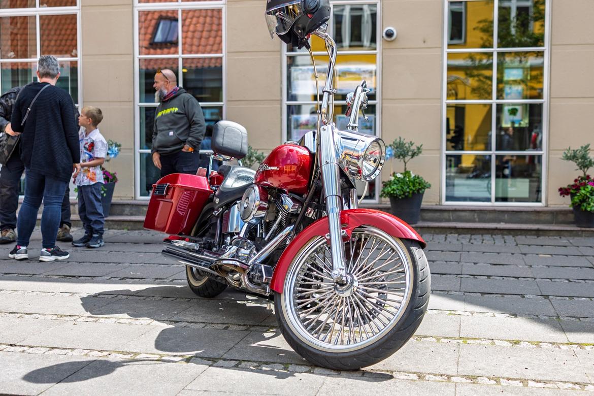 Harley Davidson FLSTF Fatboy Custom billede 1