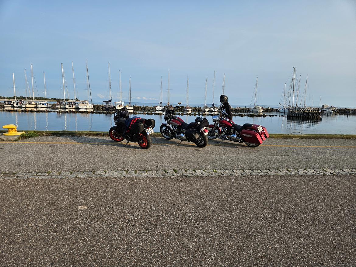 Harley Davidson FLSTF Fatboy Custom billede 11