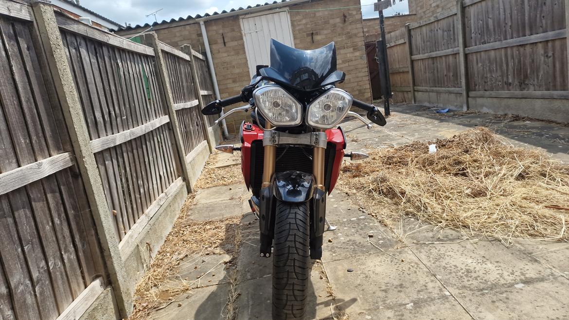 Triumph Speed Triple aka Space Monkey billede 24