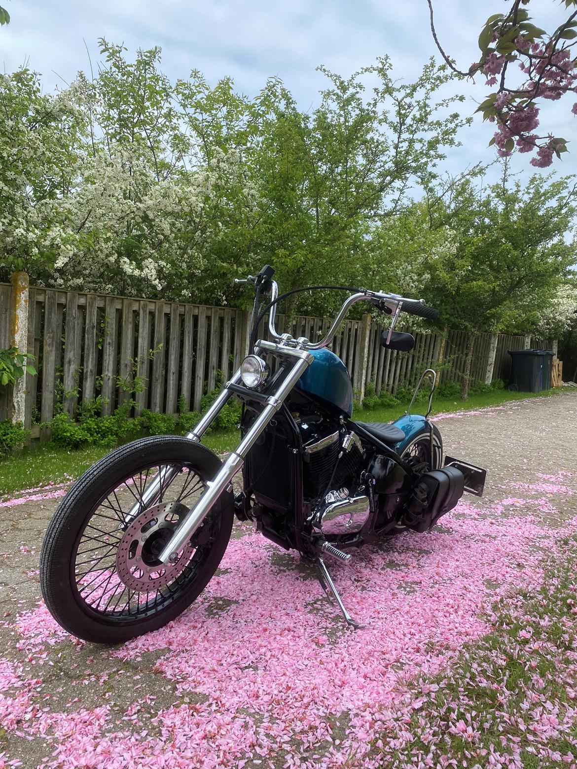 Kawasaki Vn 800 A billede 3