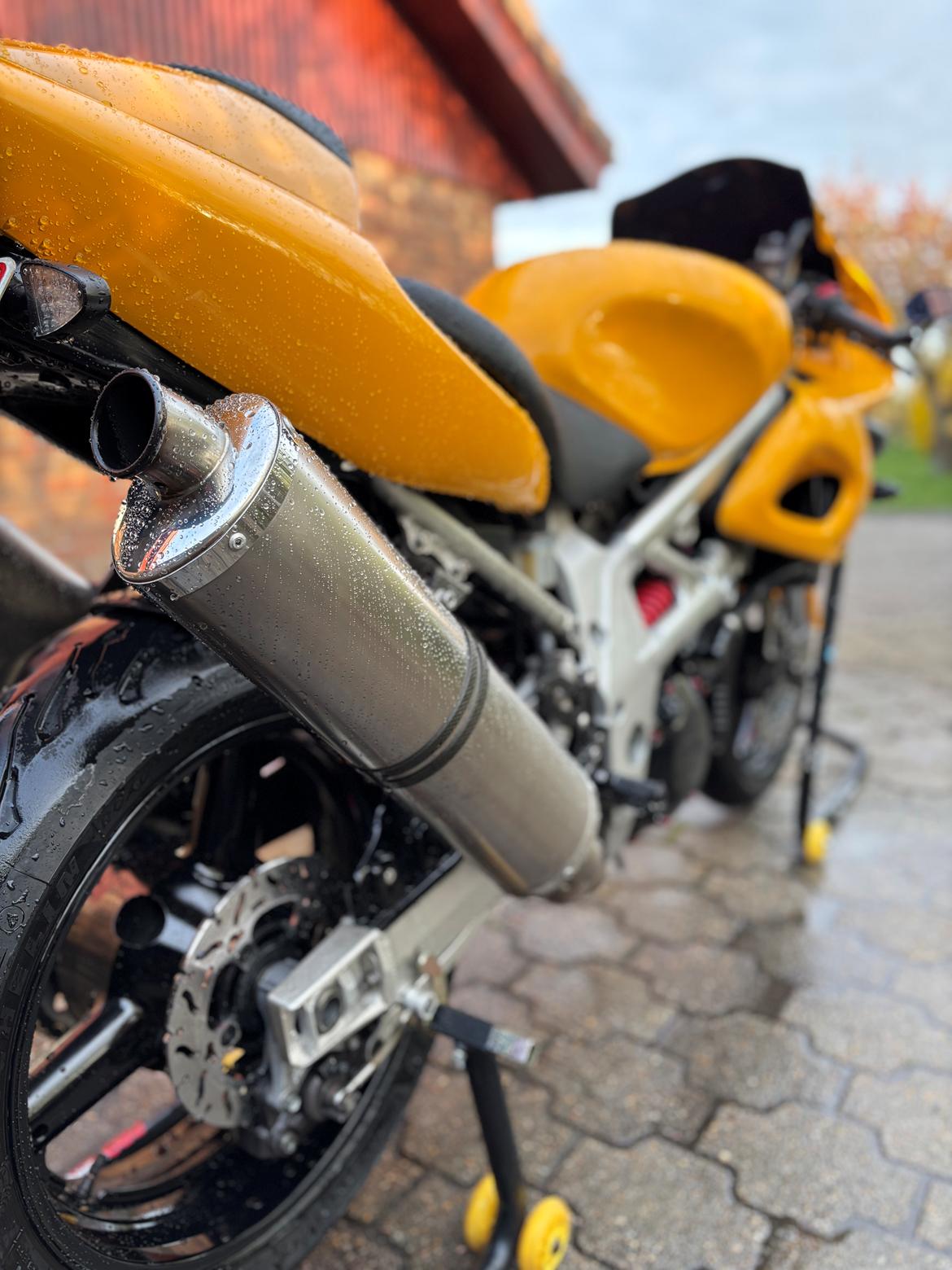 Suzuki TL1000S billede 4