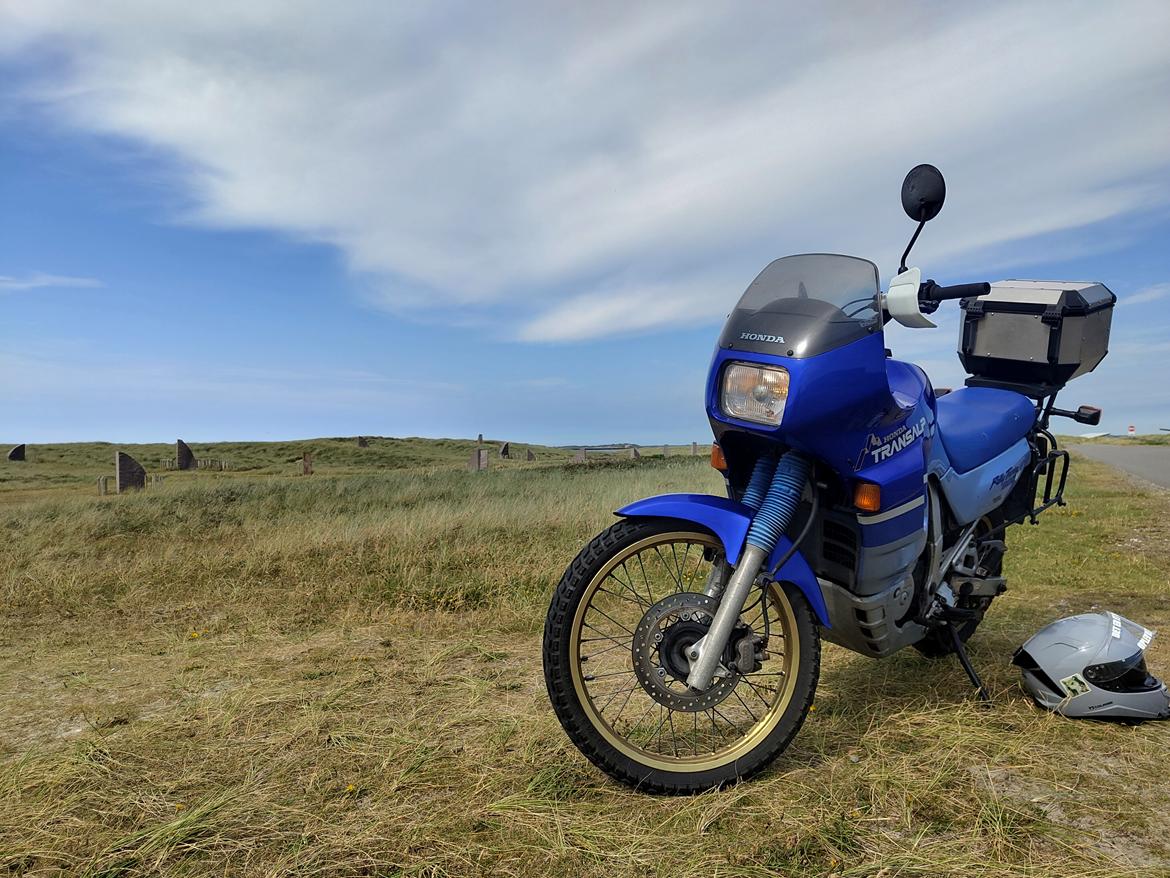 Honda XL600V Transalp billede 3