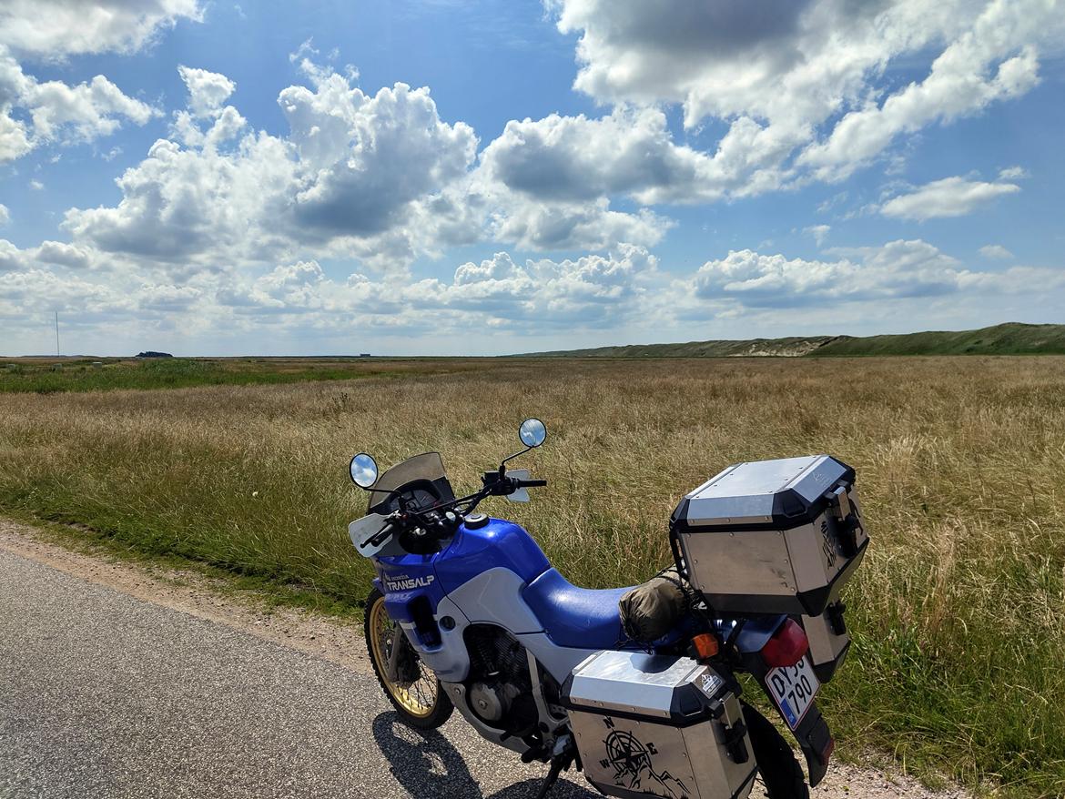 Honda XL600V Transalp billede 8