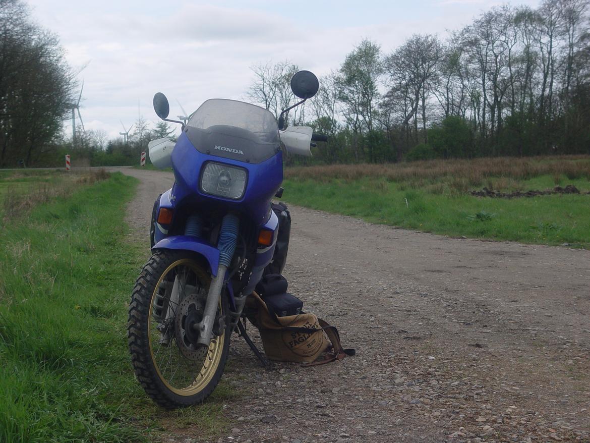 Honda XL600V Transalp billede 24