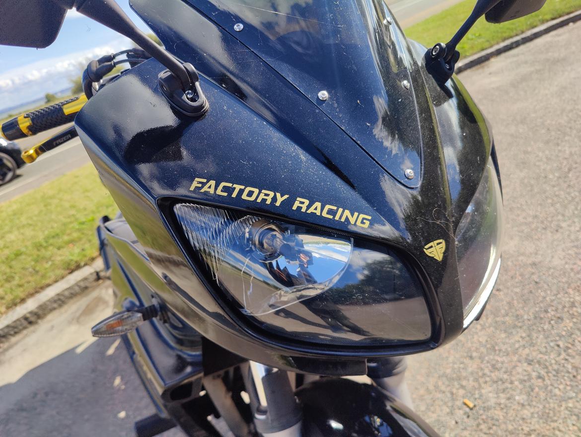 Yamaha FZS 600 Fazer  billede 11