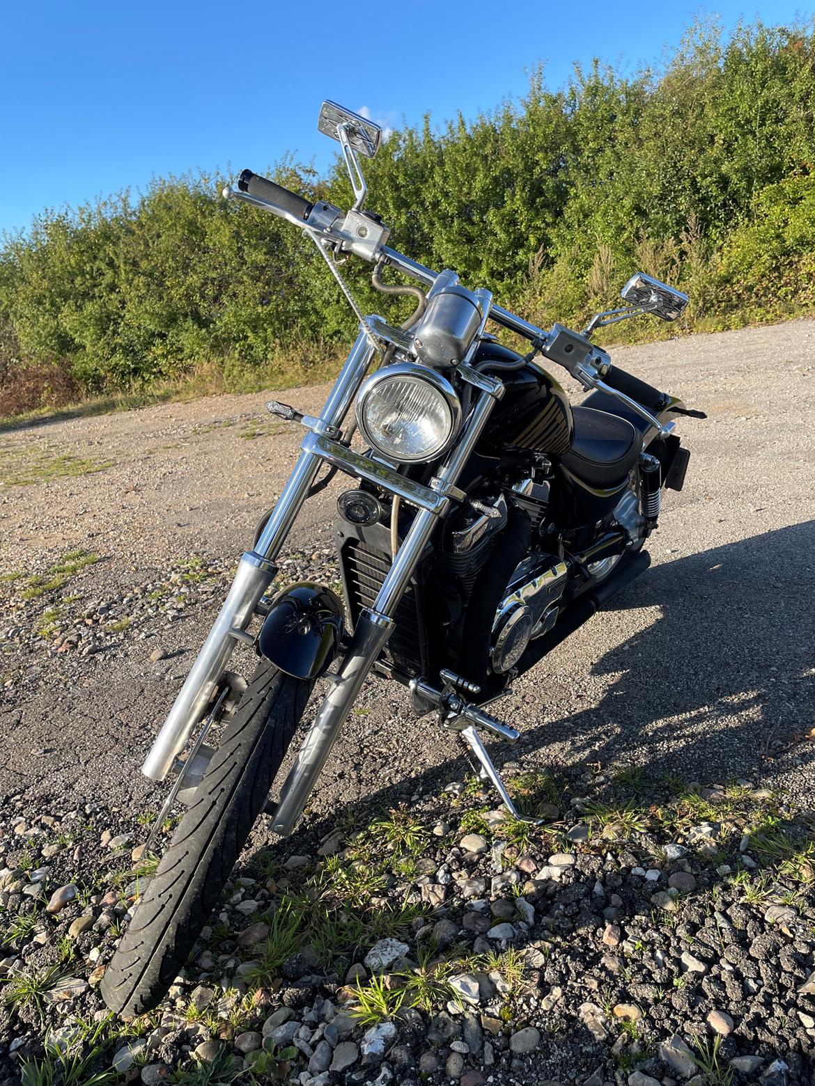 Suzuki VS 800 Intruder  billede 10