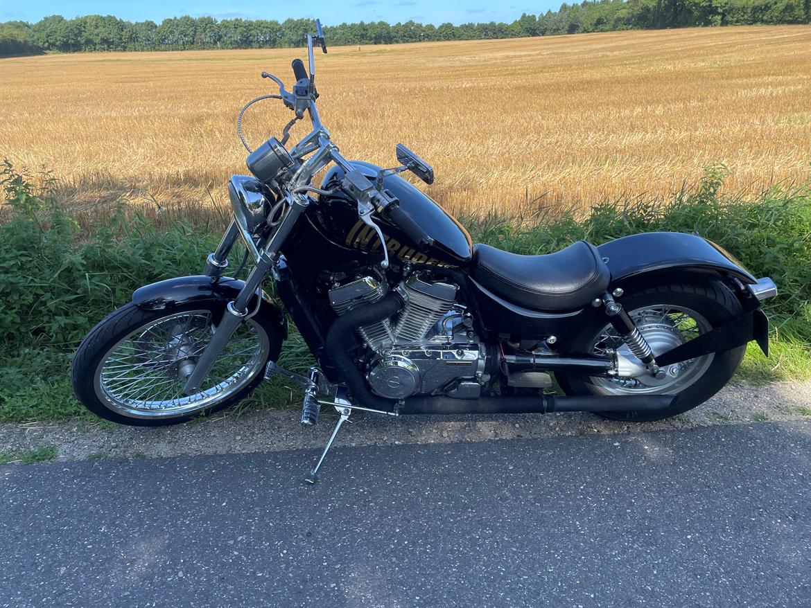 Suzuki VS 800 Intruder  billede 12