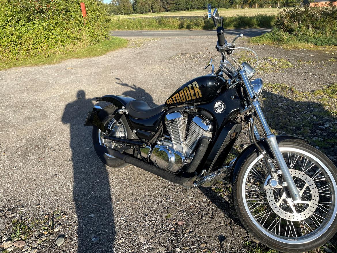 Suzuki VS 800 Intruder  billede 15