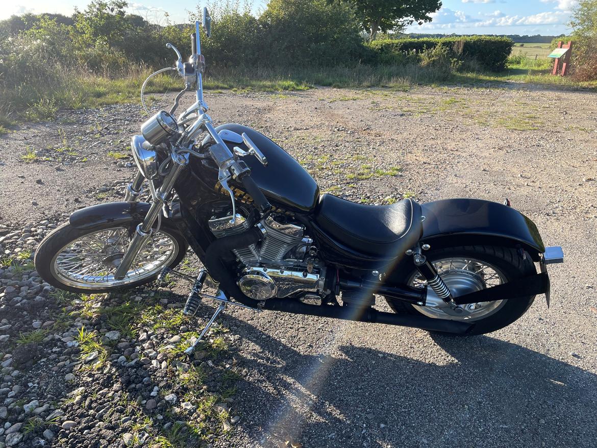 Suzuki VS 800 Intruder  billede 17