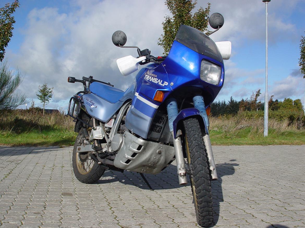 Honda XL600V Transalp billede 1