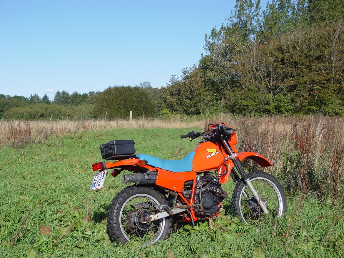 Honda XL250R billede 5
