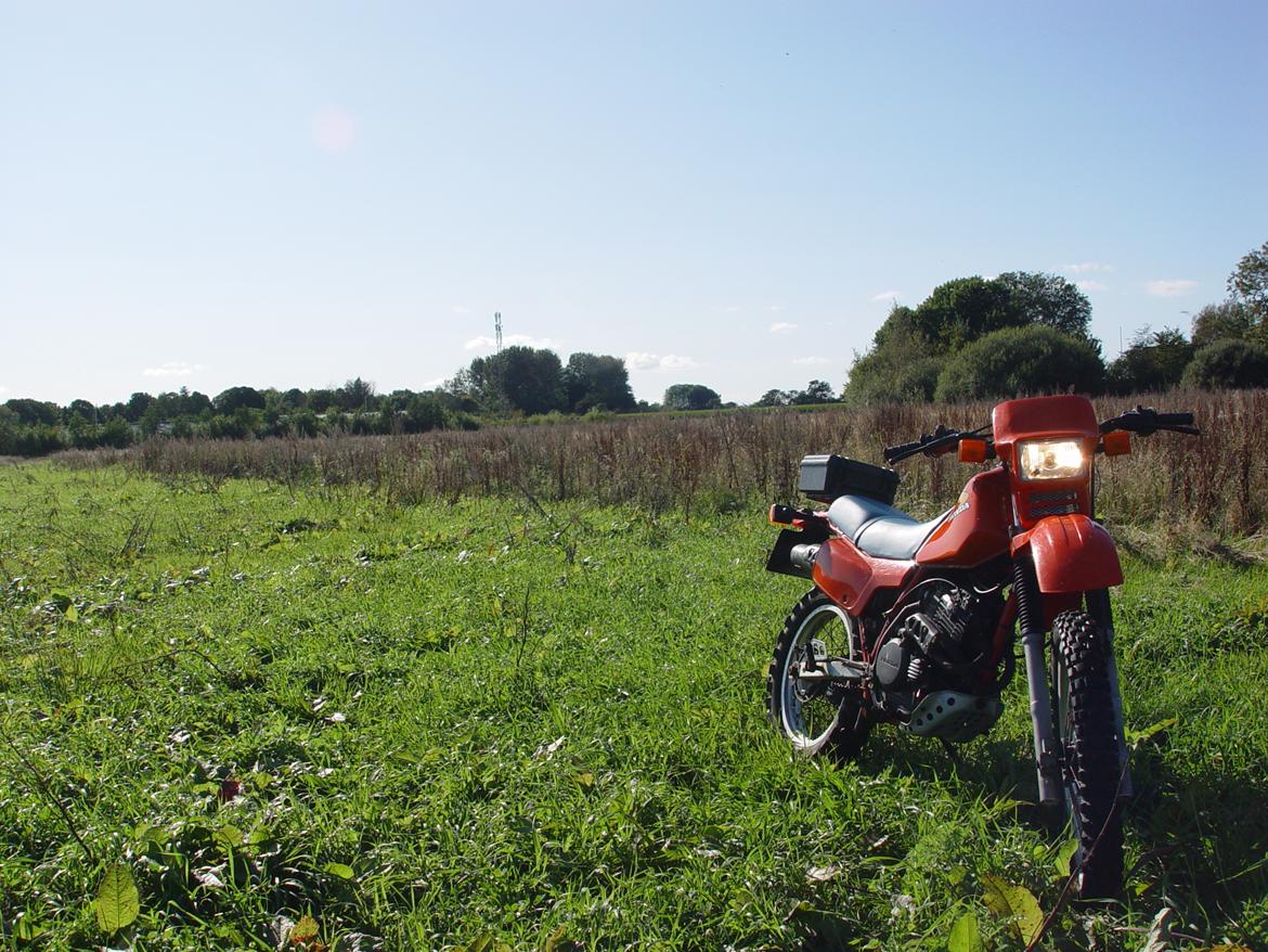 Honda XL250R billede 6
